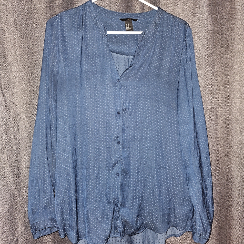 Elegant Blue Sheer Blouse